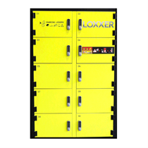 Locker standard