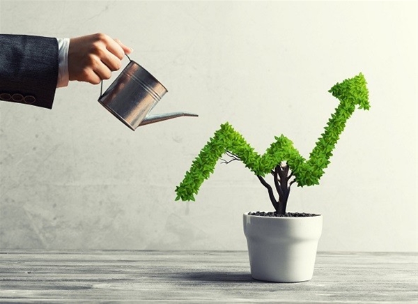The Importance of Supporting Sustainable Companies