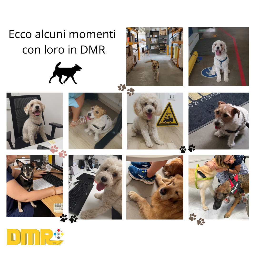 PET IN UFFICIO DMR